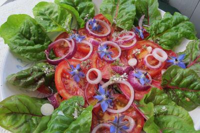 vegetariskt blommor i maten tomater